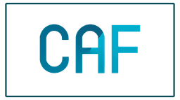 Cyber Assessment Framework (CAF)