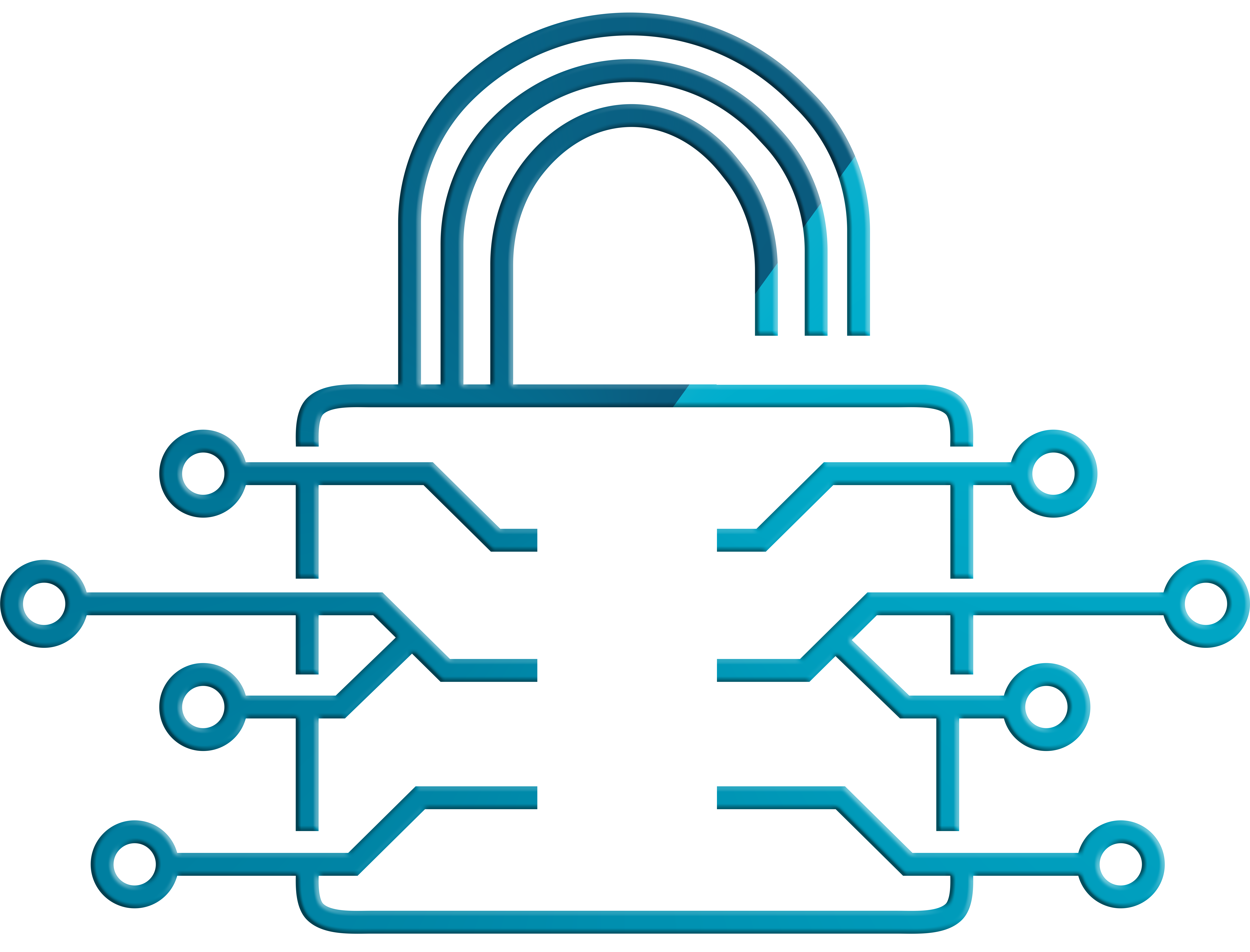 Data Security Solutions Logo