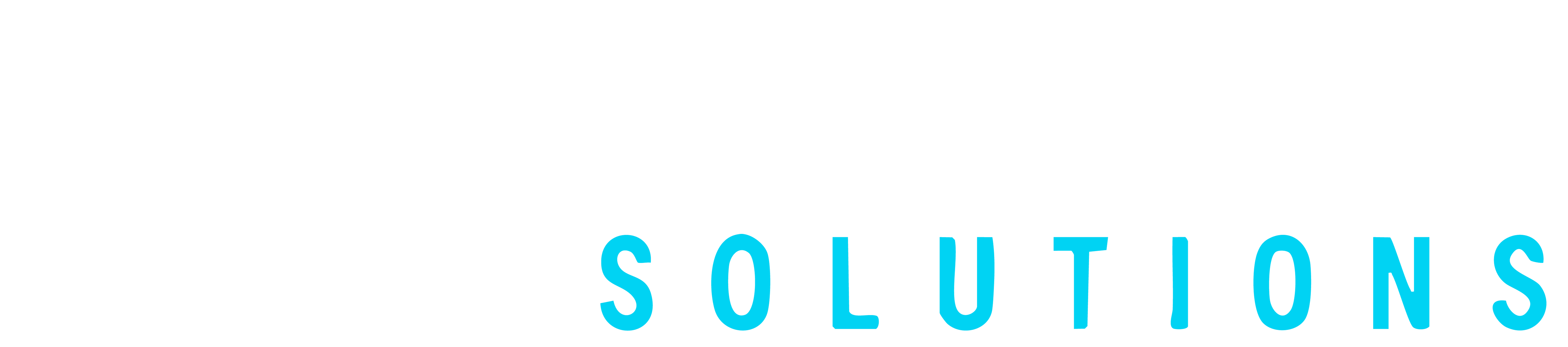 Data Security Solutions